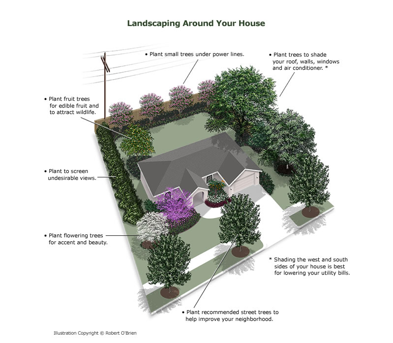 planting_around_house